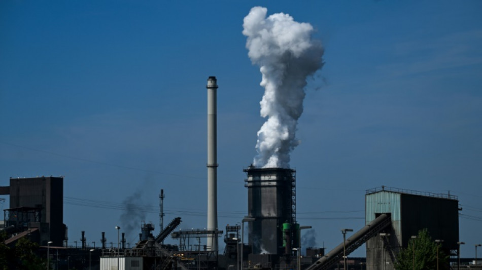 D&eacute;carbonation de l'industrie: la France et l'Allemagne en "situation invers&eacute;e", selon une &eacute;tude