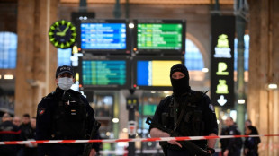 Agression de la gare du Nord: la garde &agrave; vue du suspect lev&eacute;e temporairement, un autre homme entendu