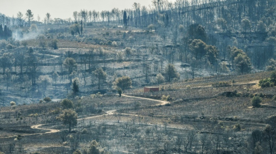 Eté 2025: des feux "hors normes" en France et en Europe