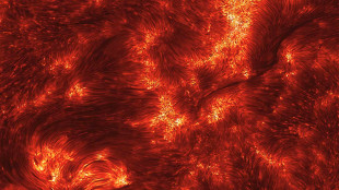 Nessun effetto sulla Terra per l'attesa tempesta magnetica