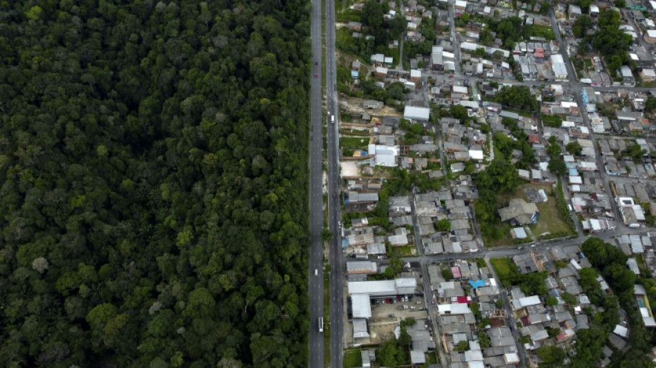 Desmatamento na Amaz&ocirc;nia cai 33% no primeiro semestre