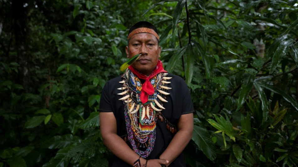 L&iacute;der ind&iacute;gena aspira a que la Amazon&iacute;a gane "fuerza" ante el mundo en la COP16