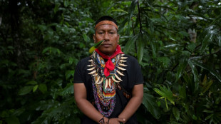 L&iacute;der ind&iacute;gena aspira a que la Amazon&iacute;a gane "fuerza" ante el mundo en la COP16