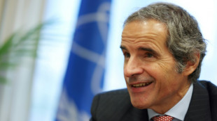 Ir&aacute;n dispuesto a reanudar negociaciones sobre programa nuclear, afirma jefe del OIEA