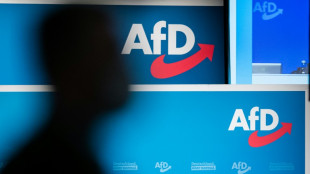 AfD holt erstmals Landratsposten in Deutschland