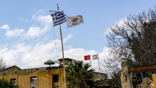 Chypre: 50 ans de division sans signe de r&egrave;glement