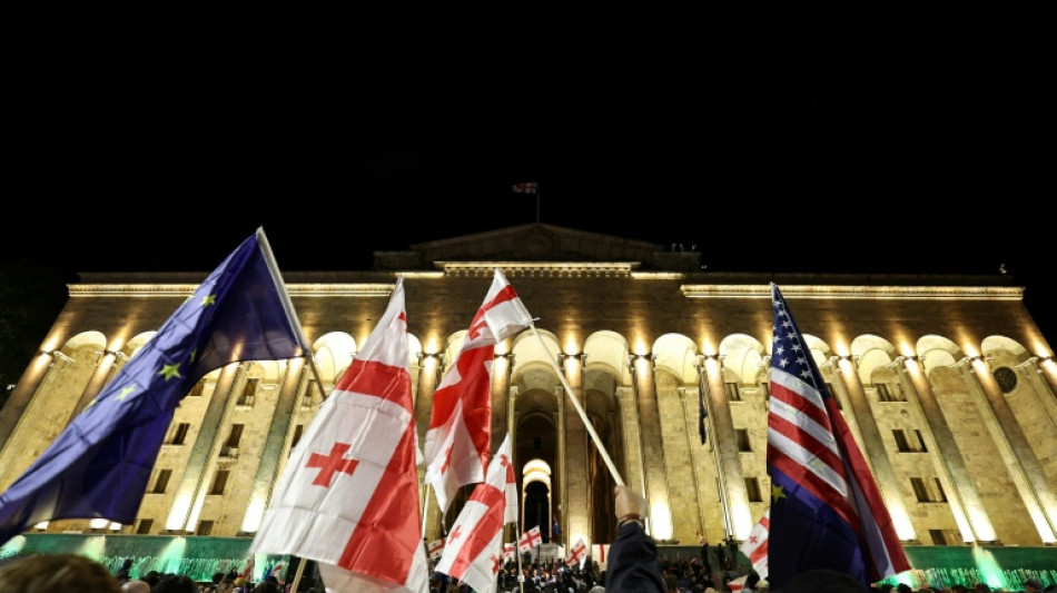 El partido gobernante en Georgia pide prohibir a los principales partidos de oposición