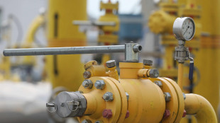 Il gas prosegue la seduta incerto a 60 euro al Megawattora