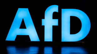 AfD-Verbotsverfahren: Merz warnt vor sehr hohen H&uuml;rden