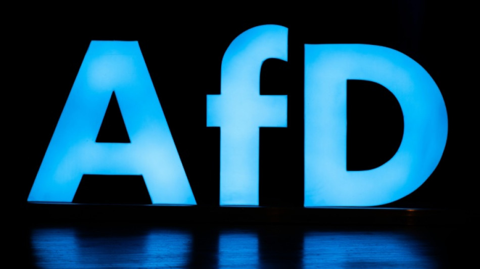 Sicherheitspolitiker von CDU und Grünen warnen vor russischer Spionage durch AfD