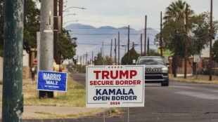 Los cinco temas cruciales de la campa&ntilde;a presidencial estadounidense