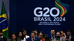 Divergencias sobre un impuesto global a multimillonarios marcan la reuni&oacute;n del G20