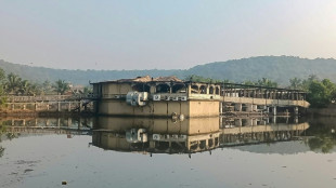 Inde: au moins 23 personnes, dont des touristes, meurent dans l'incendie d'une bo&icirc;te de nuit &agrave; Goa