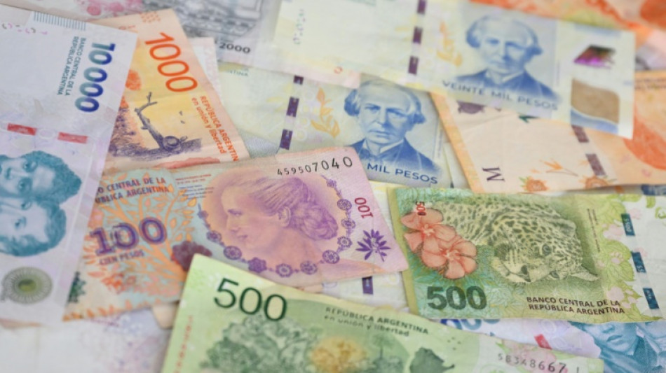 Argentine peso, stocks fall after ruling party's election setback