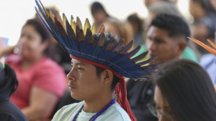 El Tribunal Supremo de Brasil inicia la discusión sobre la demarcación de tierras indígenas