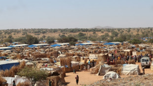 In Chad camps, survivors recount Sudan war horrors