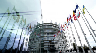 Los eurodiputados aprueban un enorme pr&eacute;stamo a Ucrania respaldado en activos rusos congelados