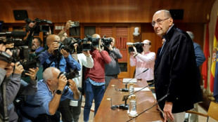 Detenido en Pa&iacute;ses Bajos el sospechoso de disparar a un expol&iacute;tico espa&ntilde;ol en Madrid