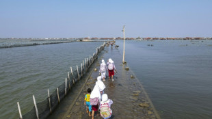 'Slow disaster': Indonesians in sinking village forced to adapt