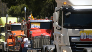 Protestas por el precio del di&eacute;sel congestionan una decena de rutas en Colombia