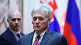 Cremlino, 'il muro di droni Ue &egrave; un'iniziativa triste'