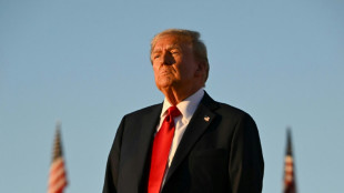 Un ave f&eacute;nix llamado Donald Trump