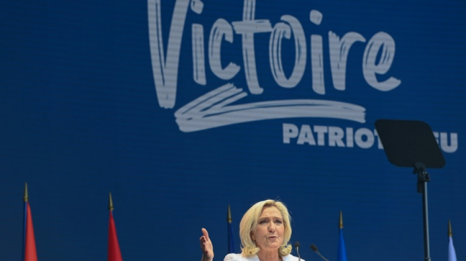 Le Pen, Orban lambast EU at far-right rally in France