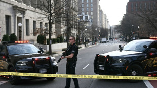 US-Polizei: Transporter f&auml;hrt in Absperrung am Wei&szlig;en Haus