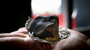 Asteroide foi rastreado na França graças à ciência participativa