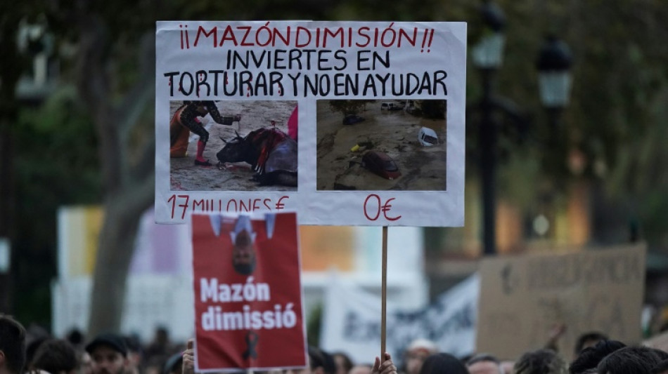 Decenas de miles de personas protestan en Valencia contra la gesti&oacute;n de las inundaciones