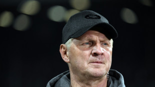 Effenberg sieht DFB-Elf im Kreis der Titelanw&auml;rter