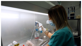Influenza, funziona nei topi un nuovo vaccino universale a lunga durata