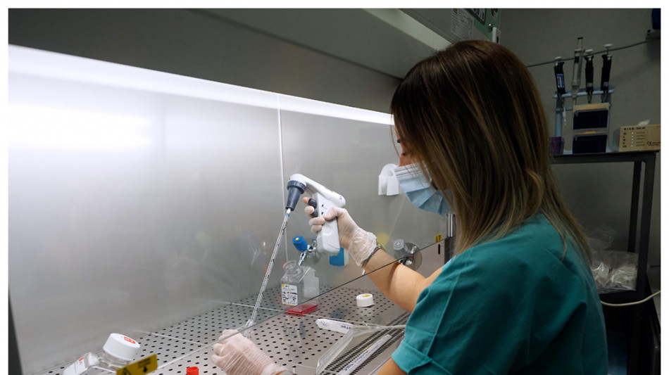 Una biobanca di organoidi per scovare i punti deboli dei tumori