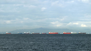 Panamakanal verzeichnet Rekordjahr