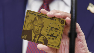 Il visto da 1 milione di dollari di Trump assegnato finora a un sola persona
