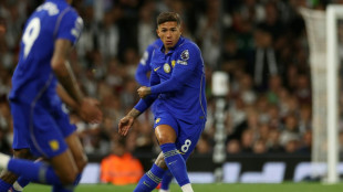 Man City agree blockbuster deal to sign Chelsea star Fernandez: reports