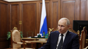 Cremlino non conferma n&eacute; smentisce incontro Putin-Witkoff