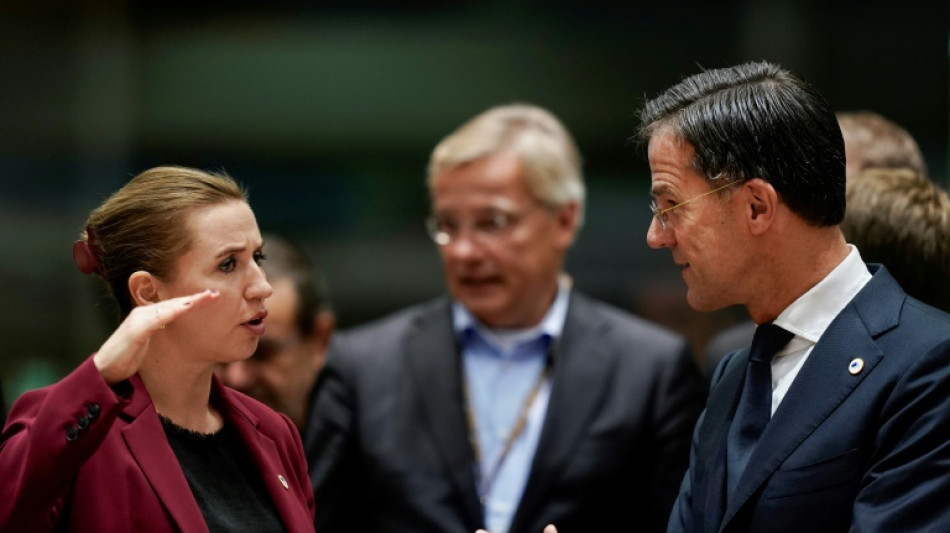 La sécurité du continent européen, priorité de la présidence danoise de l'UE