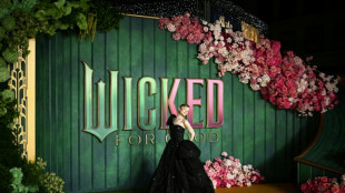 Nueve d&iacute;as de c&aacute;rcel contra el australiano que se abalanz&oacute; sobre Ariana Grande