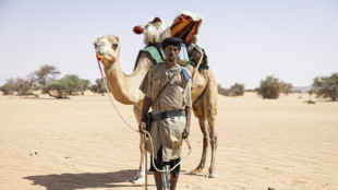Les méharistes, sentinelles du désert mauritanien face au risque jihadiste