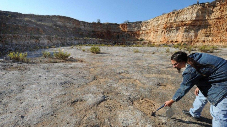 Scoperta pista di orme di dinosauro da record, è lunga 220 metri