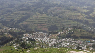 'At least 200' feared dead in DR Congo landslide: government