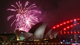 Mundo come&ccedil;a a se despedir de 2025, ano marcado por tr&eacute;gua em Gaza e volta de Trump