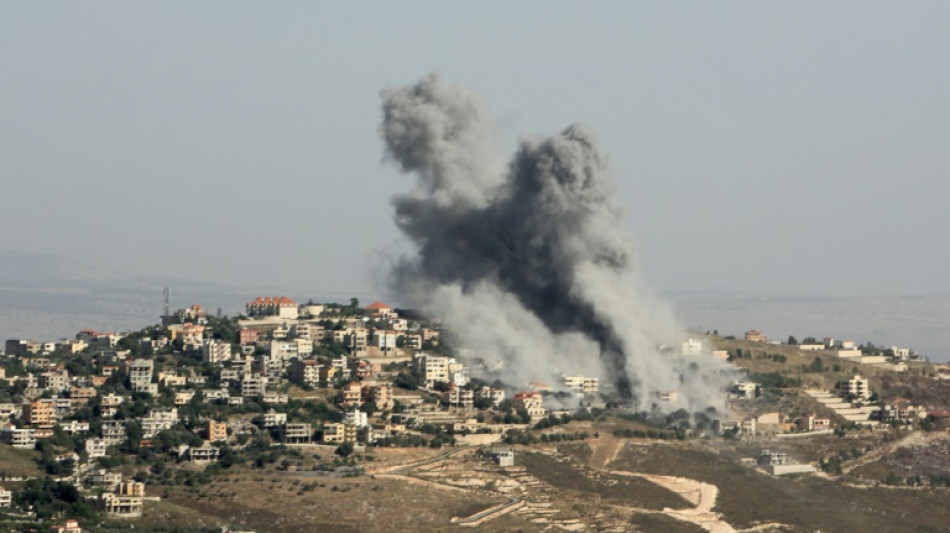 Dos muertos e incendios forestales en L&iacute;bano tras bombardeos israel&iacute;es