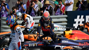 Verstappen nudges out Norris in 'crazy' British Grand Prix qualifying
