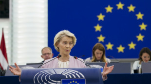 Von der Leyen échappe largement à la censure, mais pas aux critiques