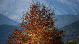 Una estaci&oacute;n de esqu&iacute; en los Alpes franceses cierra definitivamente a causa del cambio clim&aacute;tico