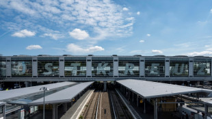 Zwölfköpfige Gruppe attackiert zwei Menschen an Bahnsteig in Berlin