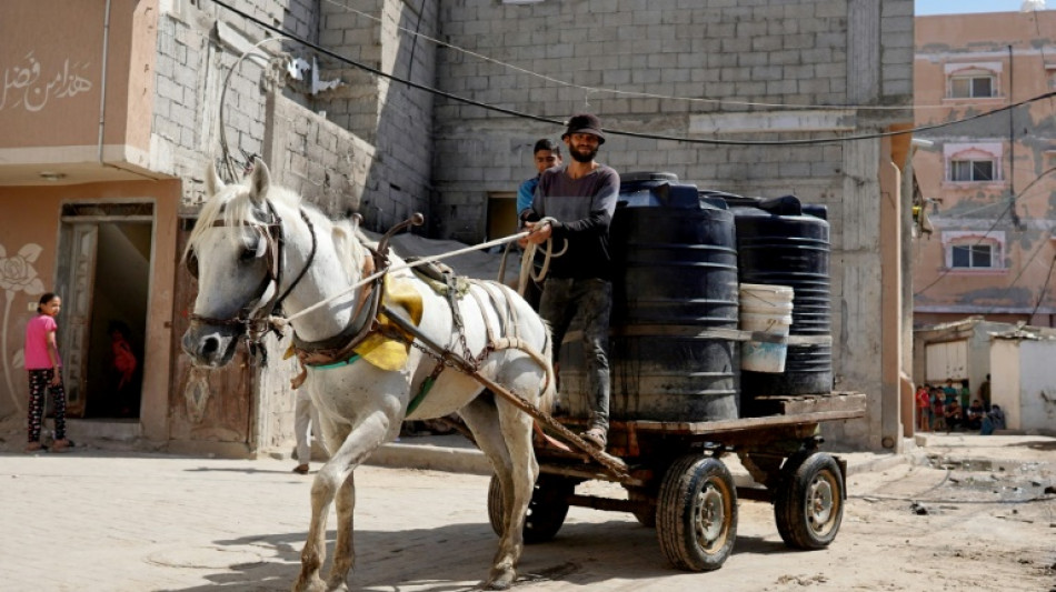 Miles de palestinos huyen de Rafah ante la amenaza de una ofensiva terrestre israel&iacute;