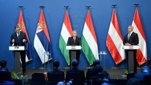 Migrationsgipfel von &Ouml;sterreich, Ungarn und Serbien 